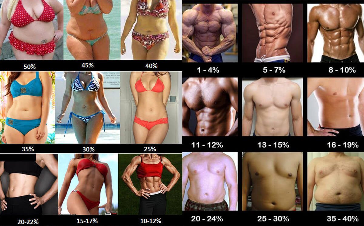 How To Measure Body Fat Percentage Correctly Tasteaholics