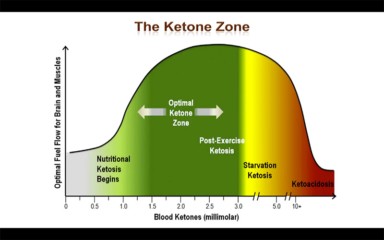 How to Measure Ketosis: Ketone Strips and Keto Sticks | Tasteaholics